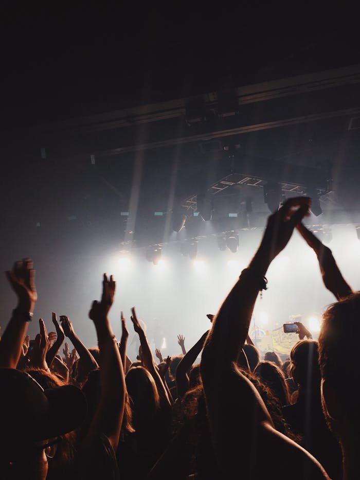 Servicio Músico profesional Ibiza